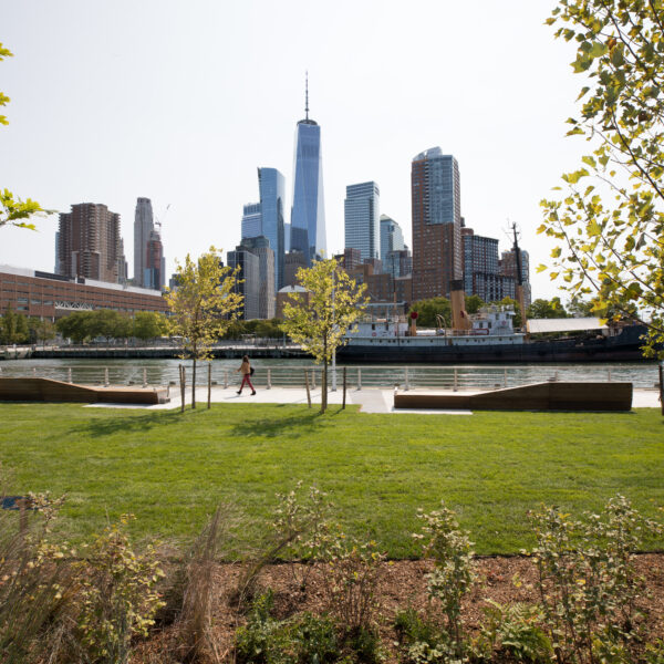 Sunny grass area on Pier 26 at Hudson River Park