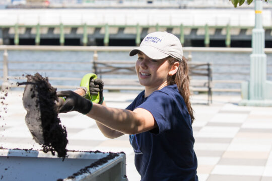 A park volunteer pours compost into the bins