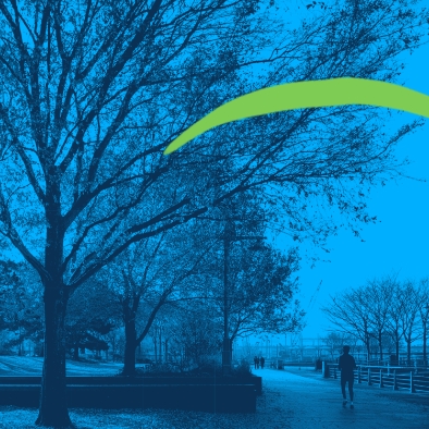 Stylized park image, blue tint, showing a tree with a squiggly line over it