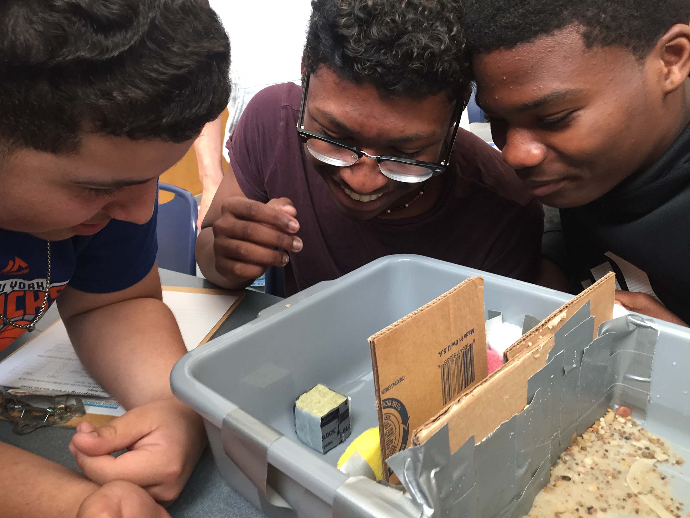 A group of kids build an terrarium