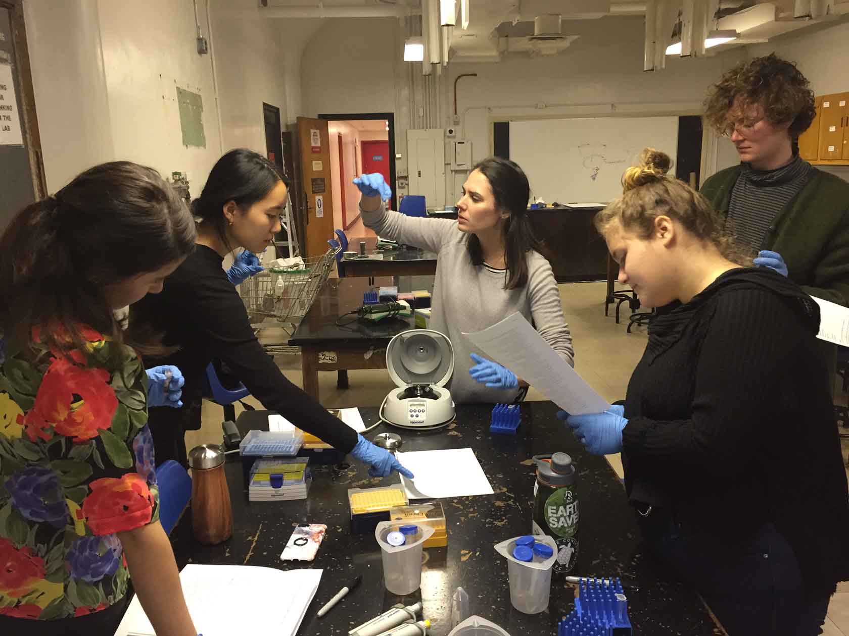 group of people doing experiments