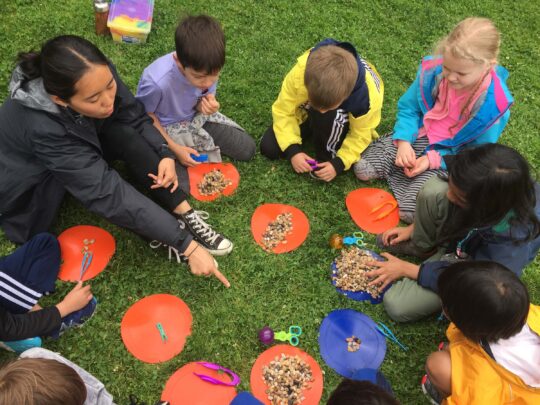 Students learning about rocks that they found in the lawns of Hudson River Park