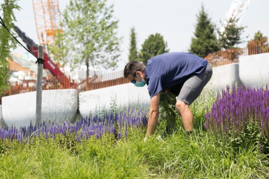 Gardeners cleaning up the areas