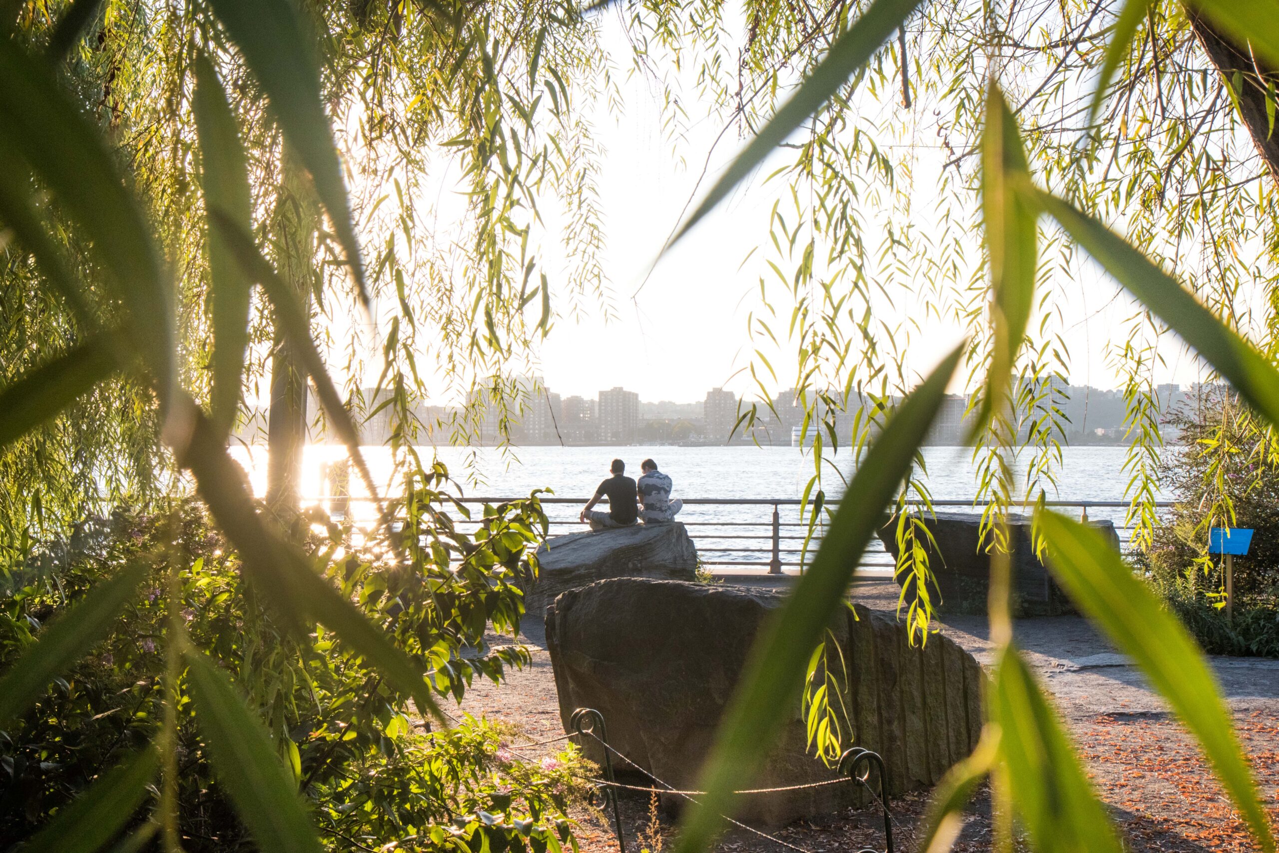 Lush greenery encloses Stonefield and Park visitors can enjoy the sunset and art near Pier 63