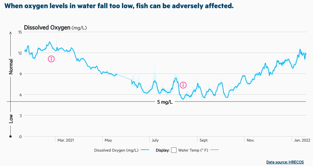 Line graph showing how the levels of dissolved oxygen in the Hudson River changed between March 2021 and January 2022. The levels decrease between March 2021 and September 2021 and increase between September 2021 and January 2022.